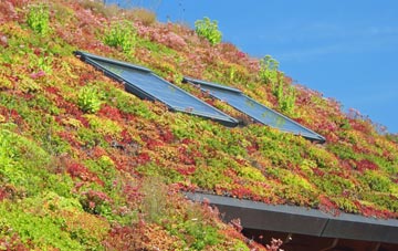 Butts Green living roof systems