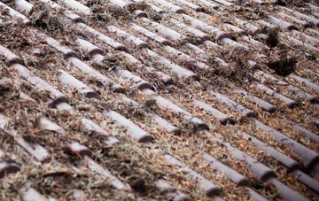 Butts Green roof cleaning companies