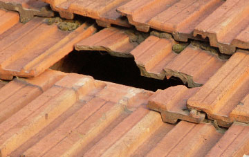 roof repair Butts Green