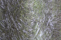 Butts Green fibreglass roof work